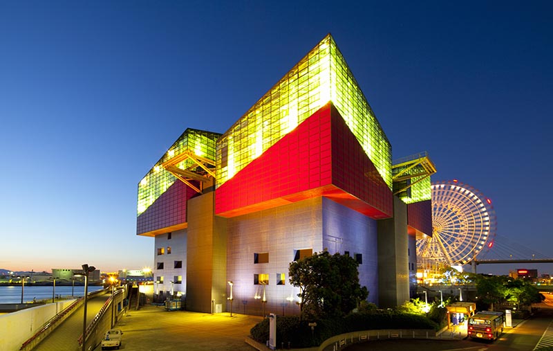 Book discounted business class tickets to Osaka to explore the fabulous aquarium Book discounted business class tickets to Osaka to explore the fabulous aquarium - IFlyFirstClass