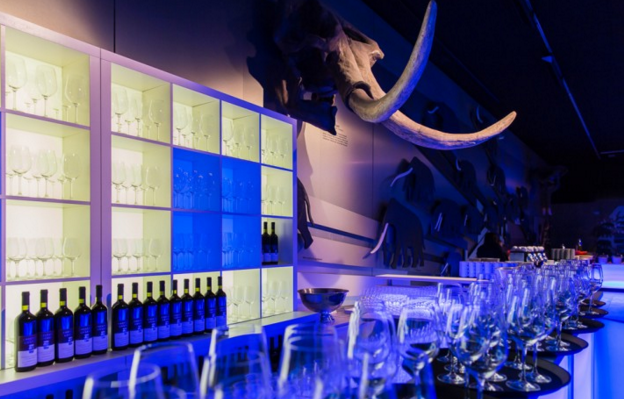  Leave your last minute flight ticket open-ended so you can spend more days exploring the Senckenberg. - IFlyFirstClass