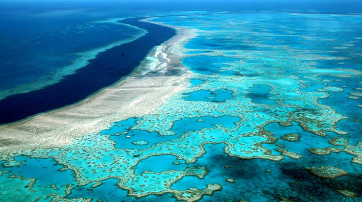 Luxurious adventures are in store when you book business class deals to the Coral Coast. - IFlyFirstClass