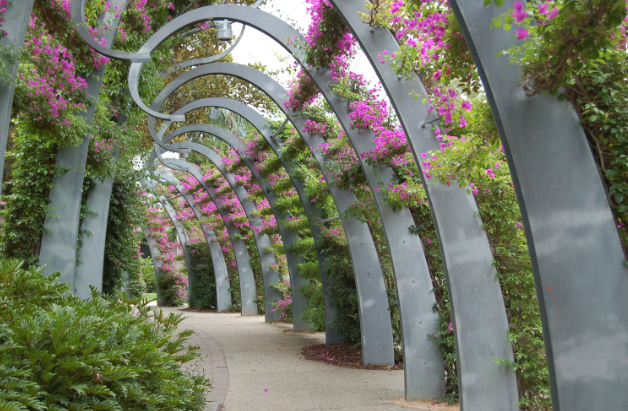 Cheap business class flights transport you to delightful Southern Hemisphere gardens. - IFlyFirstClass