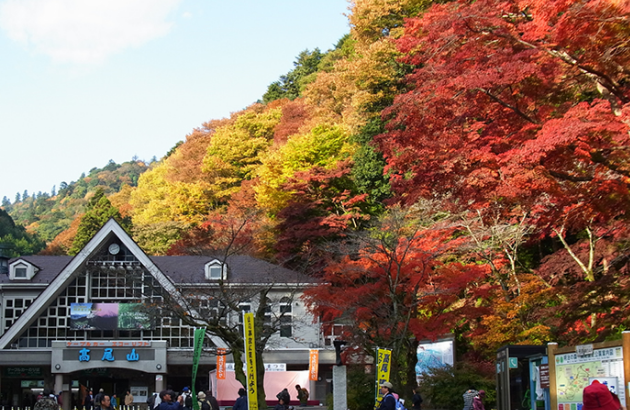 Grab last minute flight deals to Tokyo so you can hike Mount Mitake - IFlyFirstClass