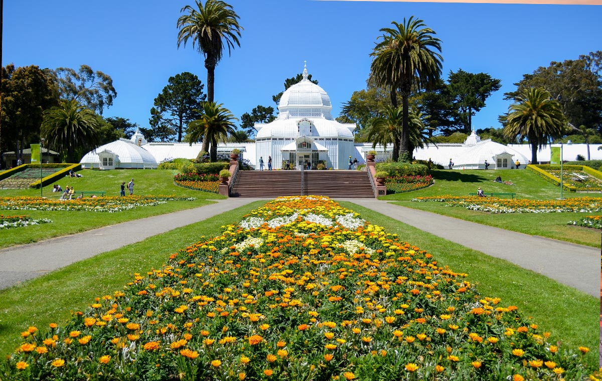 Luxuriate in comfy business class seats to San Francisco attractions like Golden Gate Park. Luxuriate in comfy business class seats to San Francisco attractions like Golden Gate Park. - IFlyFirstClass