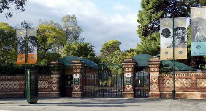 Adelaide Zoo and Business Class Tickets  - IFlyFirstClass