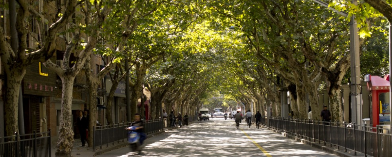Cheap business class deals to Shanghai are ideal for trips to the Old French Concession entertainment and historic area. - IFlyFirstClass
