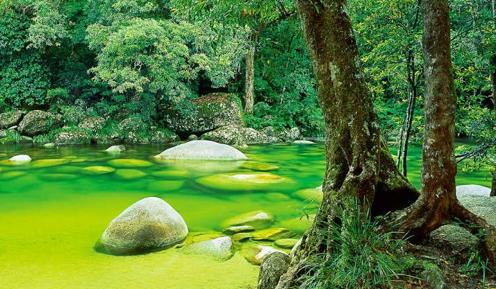 First class flights, drives and walks make the trip to Mossman Gorge a delight. - IFlyFirstClass
