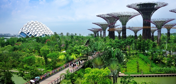 Business Class Discounted Flight to Singapore - IFlyFirstClass