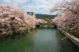 For travelers heading to other Japanese cities first, Osaka International Airport is a good choice for Kyoto discounted business class tickets. - IFlyFirstClass