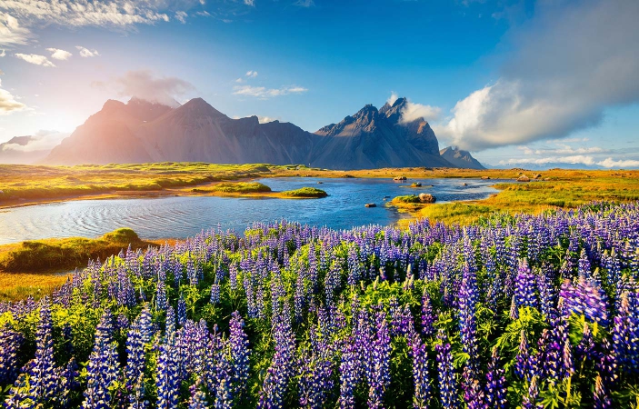 Business Class Discounted Flight to Iceland - IFlyFirstClass