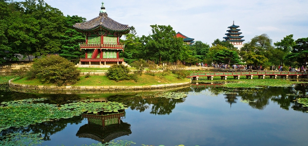 Business Class Discounted Flight to Korea - IFlyFirstClass