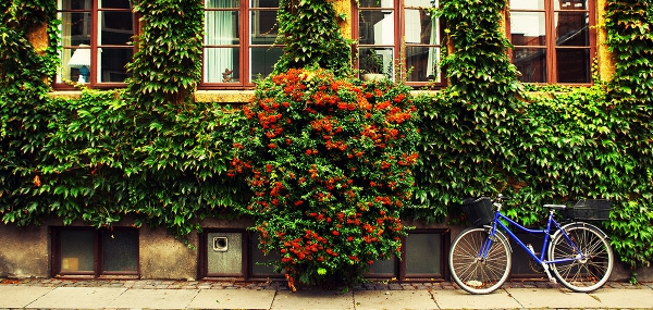 Business Class Discounted Flight to Copenhagen - IFlyFirstClass
