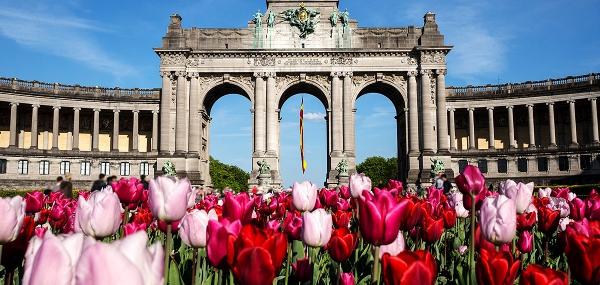 First Class Airline Tickets to Belgium - IFlyFirstClass