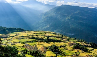Make the most of your business class deals to Ho Chi Minh City with day trips via private car. - IFlyFirstClass