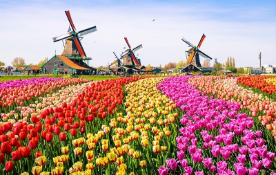 Find business class deals to Amsterdam so you  - IFlyFirstClass